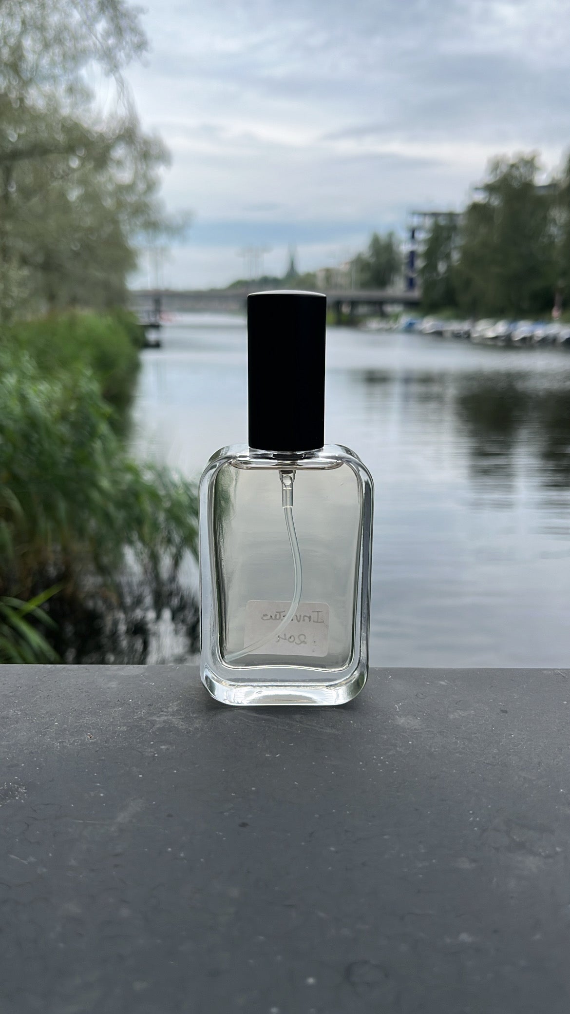 Favorit & nischdofter – herr, dam & unisex